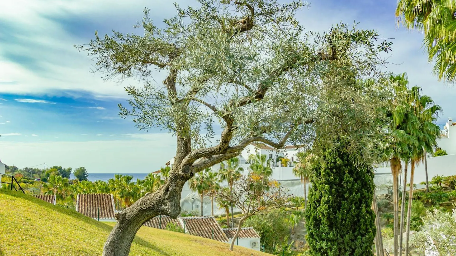 Rabat 23 Apartment Nerja