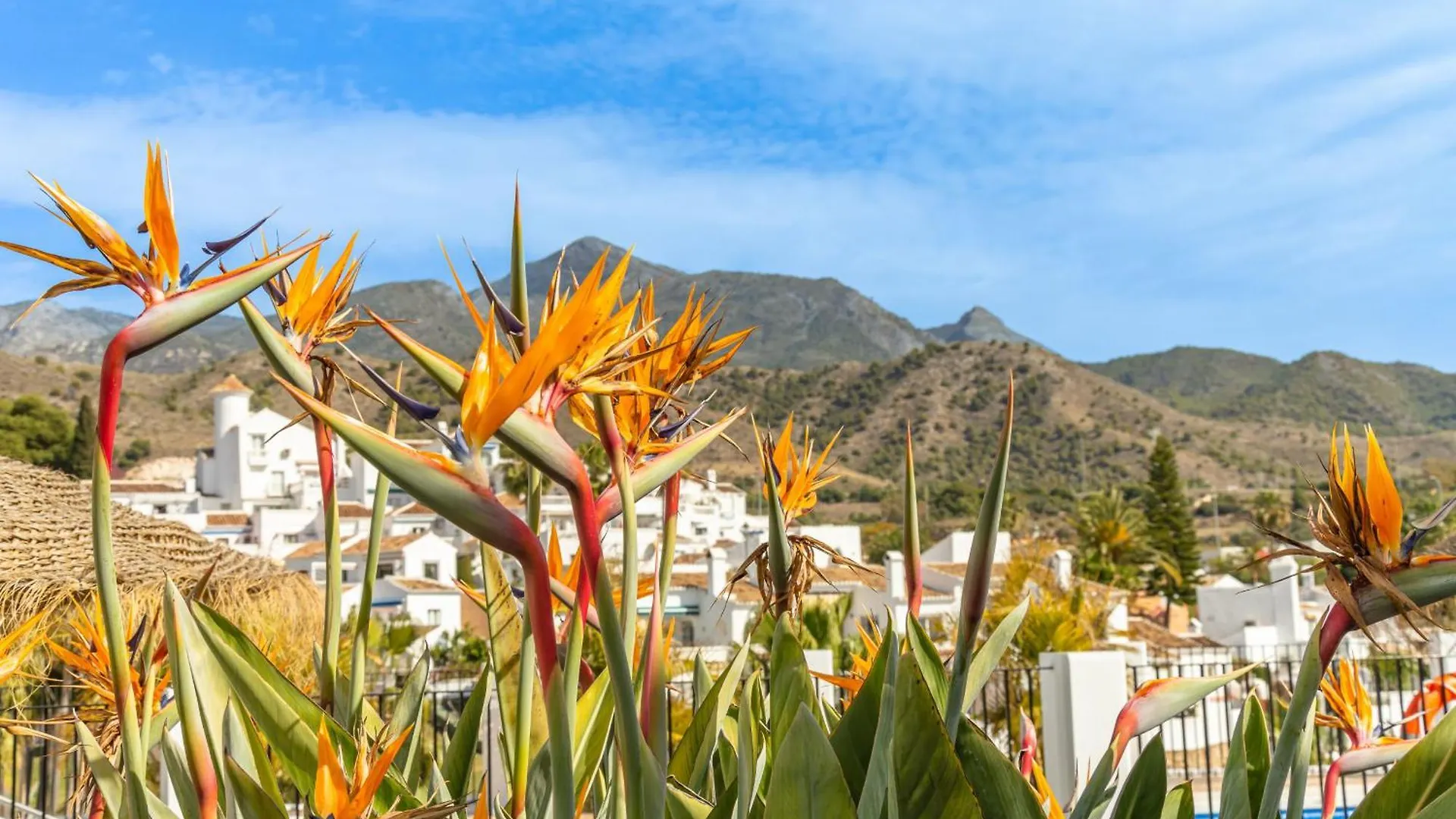 Rabat 23 Apartment Nerja